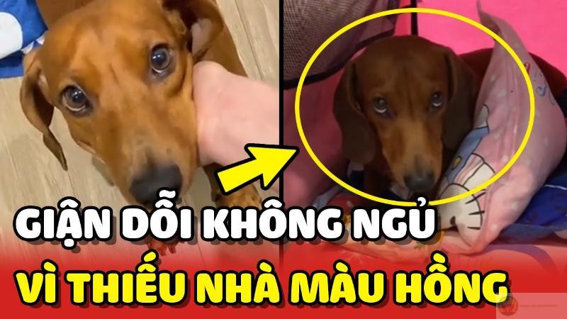 Dỗi không có lý do, chỉ có cảm xúc