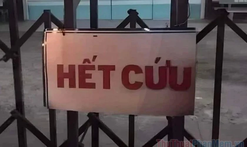 Ảnh meme hết cứu vui nhộn, độc đáo nhất 2025