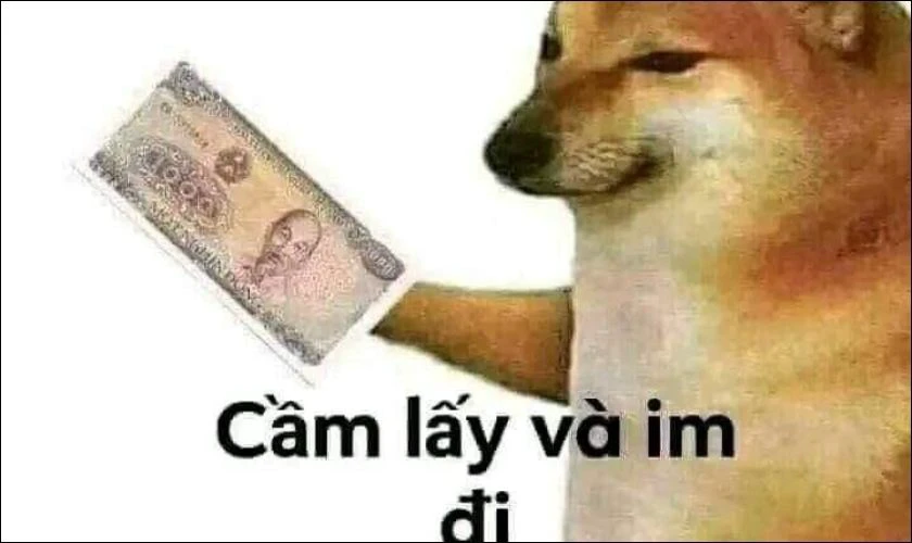 Ảnh Meme hài bựa, hài hước 2025