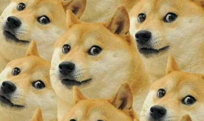 Ảnh Meme hài hước