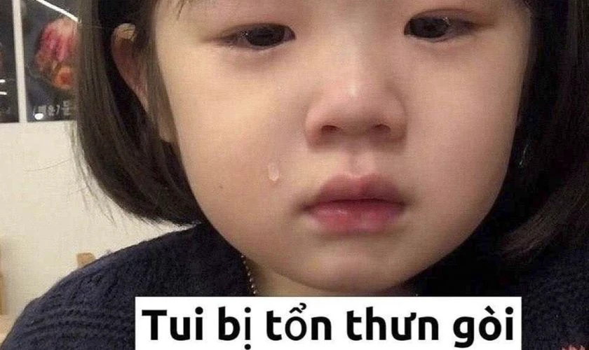 Ảnh meme khóc, tâm trạng nhất 2025