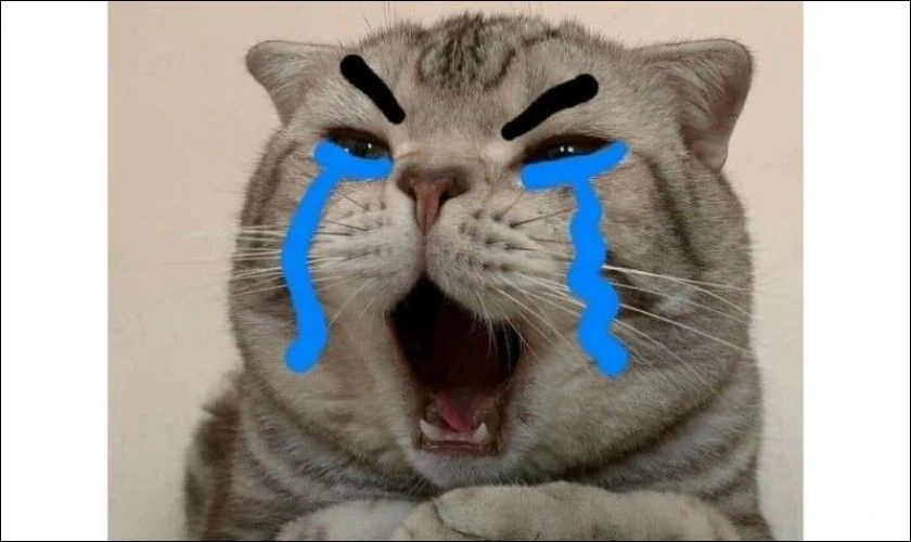 Ảnh meme tâm trạng