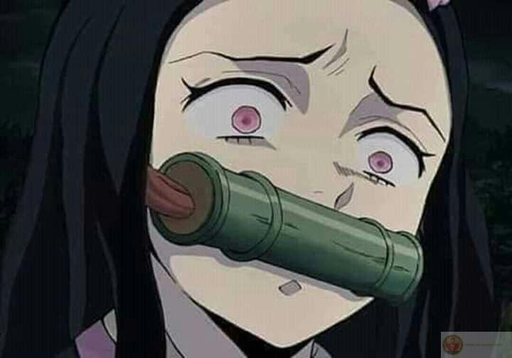 Ảnh meme khinh bỉ mang lại sự thú vị cho các cuộc trò chuyện online hàng ngày