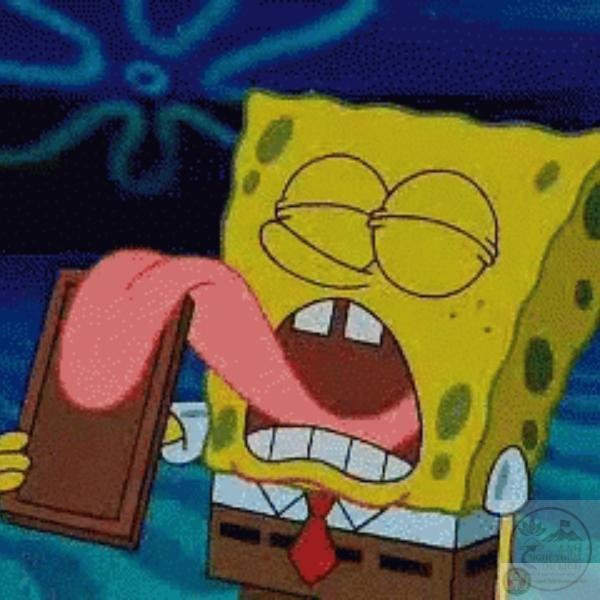 Ghim của Vento Argento trên A Memes | Ảnh chó vui nhộn, Hình vui, Hài hước