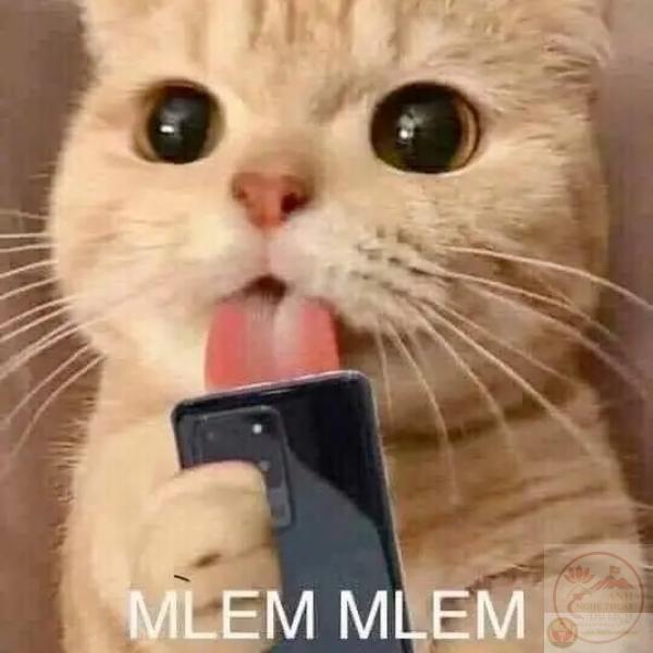 Story » Kho 90+ Meme Lè Lưỡi, Liếm Màn Hình, Điện Thoại diễn tả sự khao khát một cách hài hước