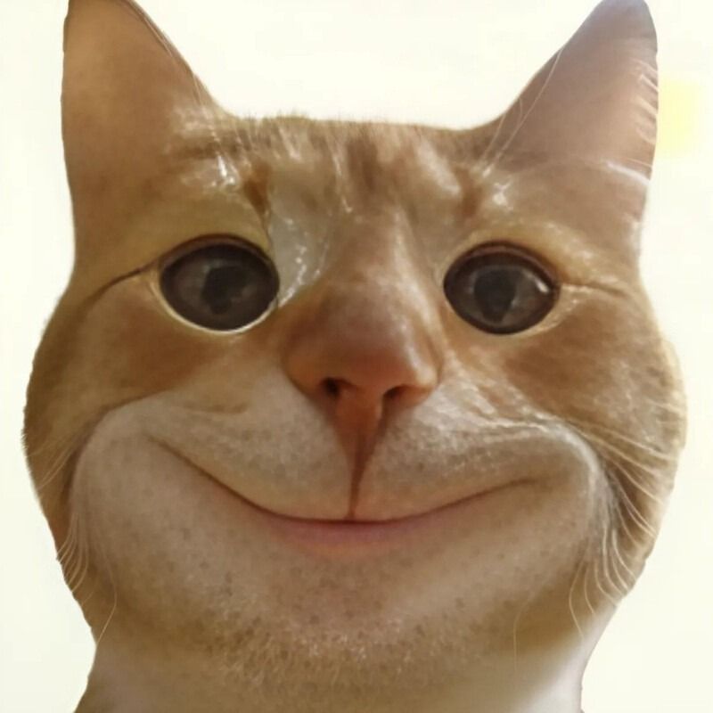 Meme mèo cười đểu/nhếch mép