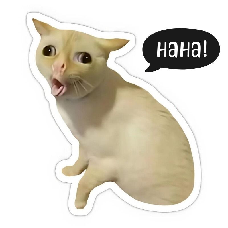 Meme mèo cười haha/hehe