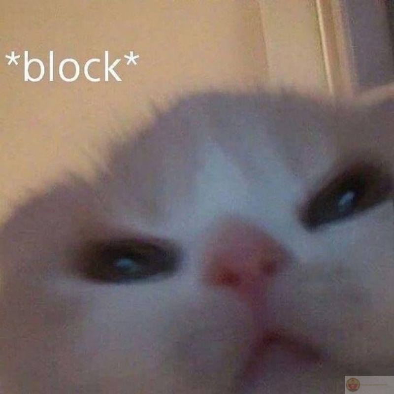 Sống như hoàng thượng nhưng hay than đời