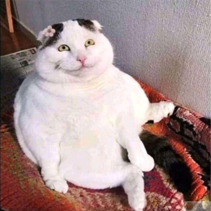 Tui chỉ thở thôi mà cũng bị nghi ngờ