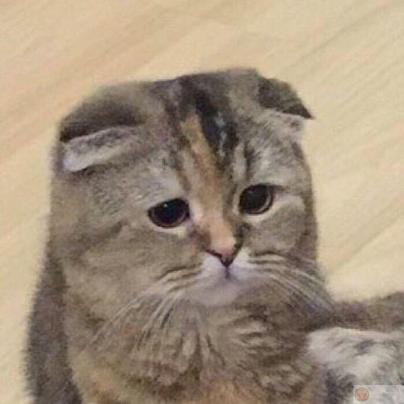 Vừa mới ngủ dậy là đã thở dài