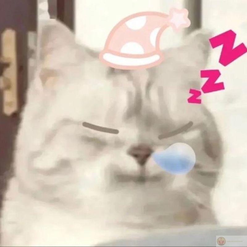 Bị gọi tên là lăn ra ngủ tiếp