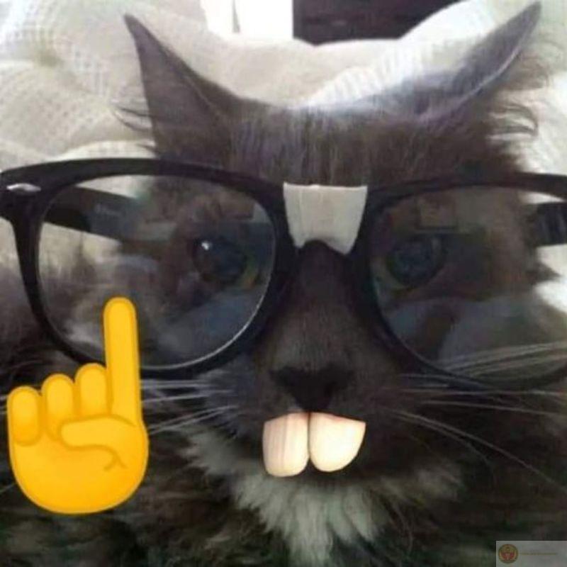 Chảnh vừa thôi, người ta còn có lòng tự trọng