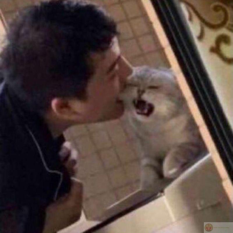 Chỉ cần đụng nhẹ là cáu lên liền