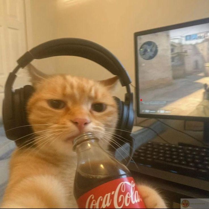 Có cơm thì tới, hết cơm thì đi