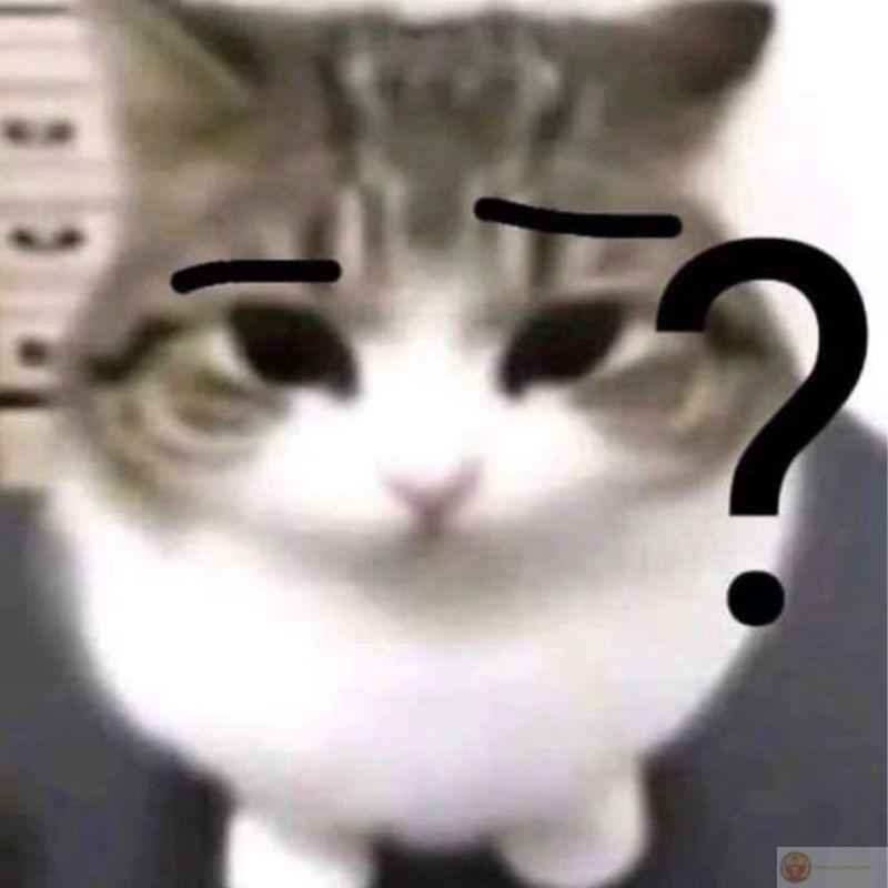 Meme mèo khóc thét