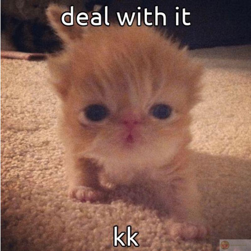 Cứ ăn xong là nằm úp mặt vào góc