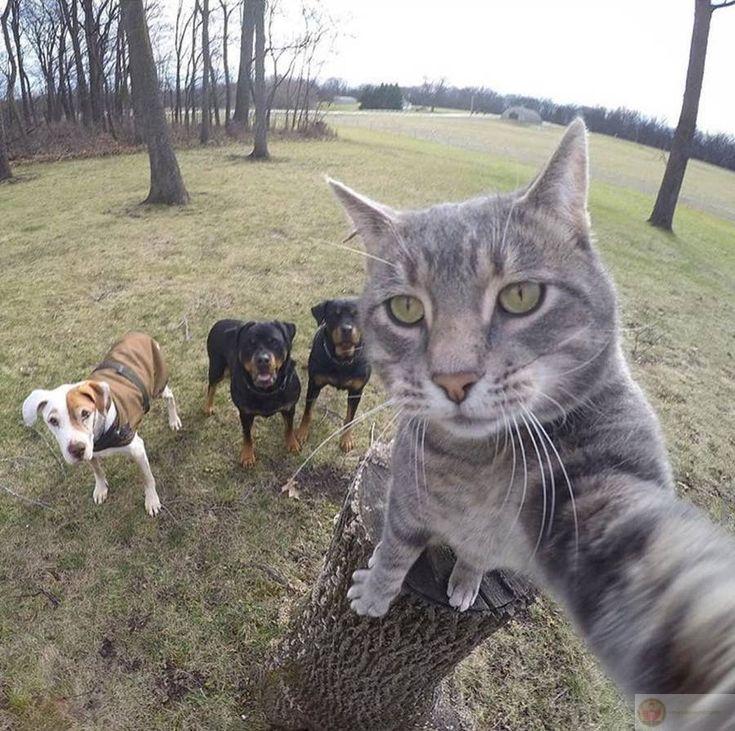 Cười xỉu vì biểu cảm như đang đóng phim