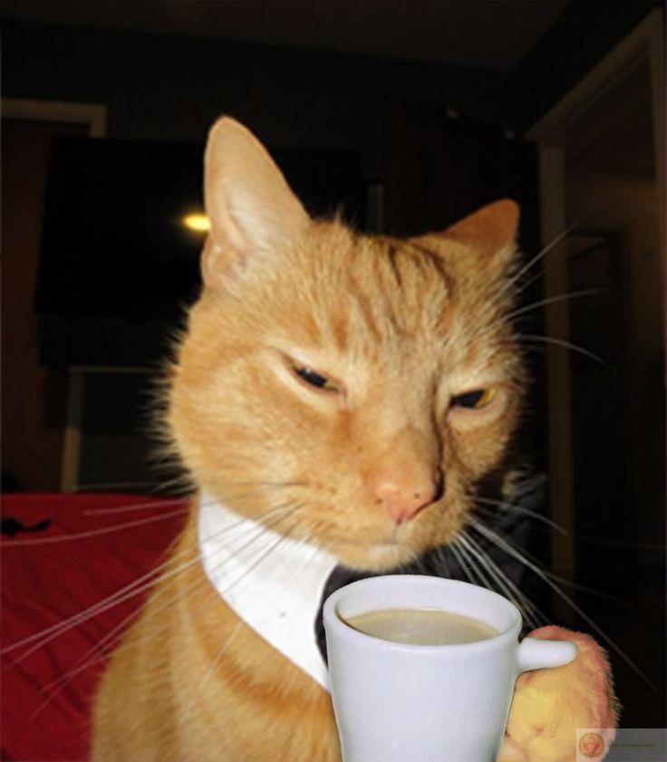 Cứ tưởng biết nghe lời, ai ngờ là diễn