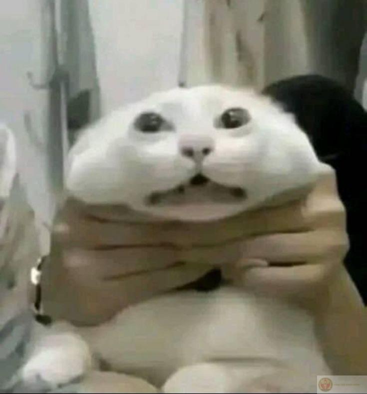 Điều khiển mọi thứ bằng ánh mắt sắc lẹm