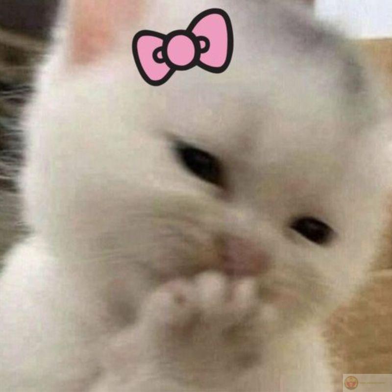 Giả vờ không quan tâm nhưng luôn xuất hiện đúng lúc