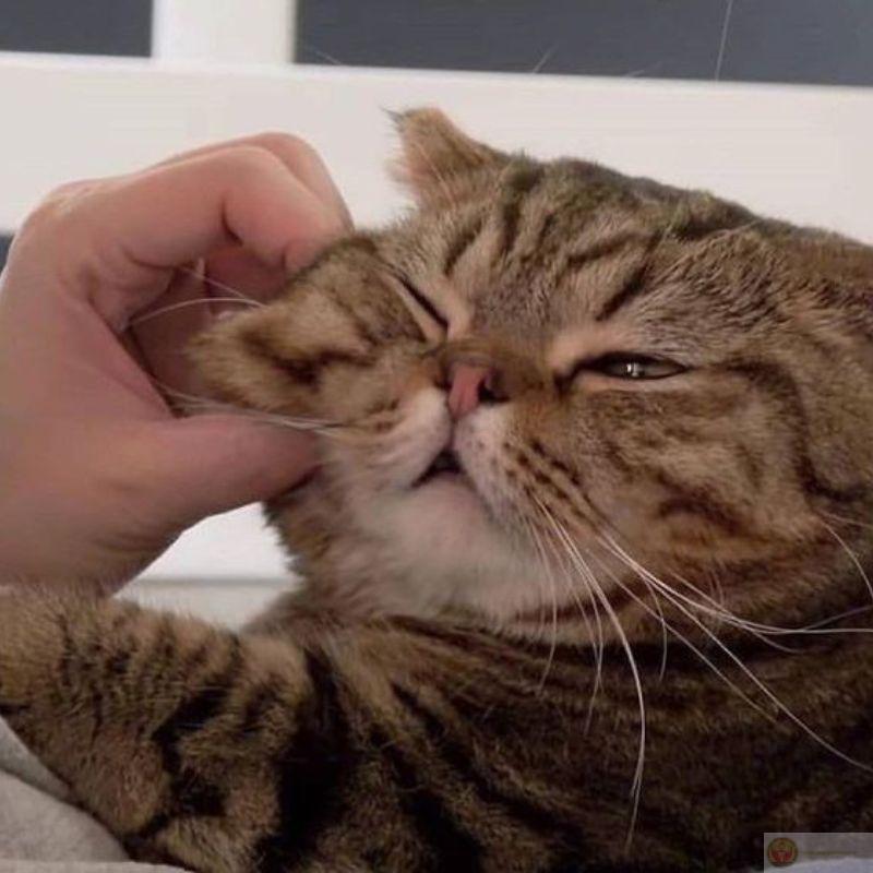 Lúc nào cũng hành xử như thể là chủ tịch