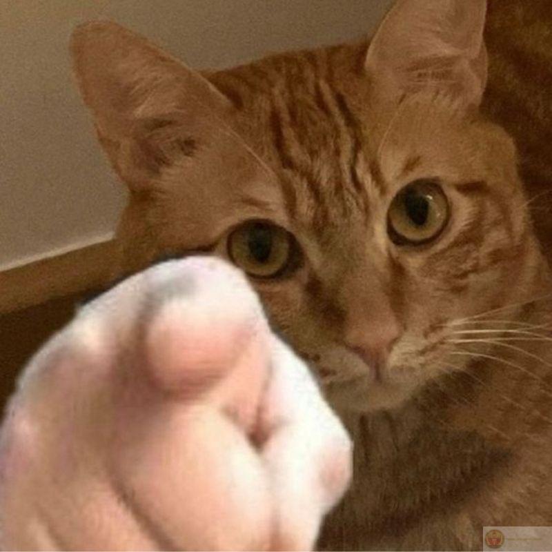 Không cần nói gì, ánh mắt đã đủ mặn