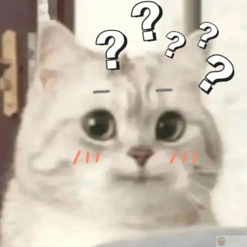 Khi bạn giả vờ ngây thơ để né trách nhiệm