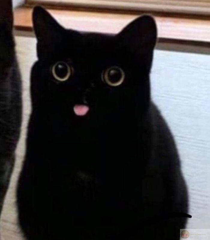 Ngủ ngày cày đêm như hacker full slot