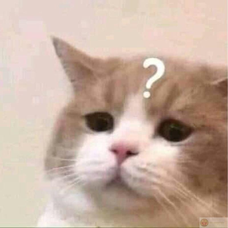 Phá như giặc nhưng ngủ thì như thiên thần