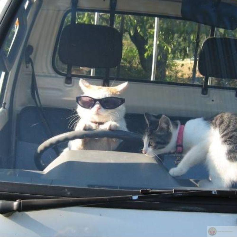 Mỗi bước chân là một hành trình ngáo ngơ