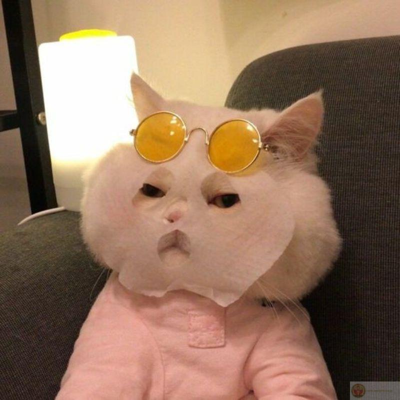 Mỗi lần gọi là giả vờ ngủ tiếp