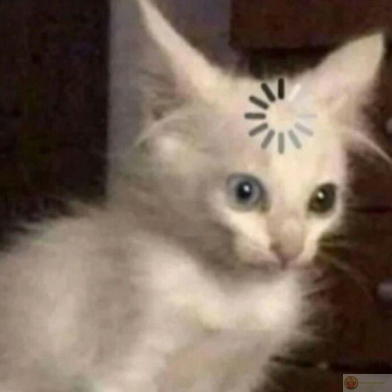 Mỗi lần liếc mắt là có chuyện xảy ra