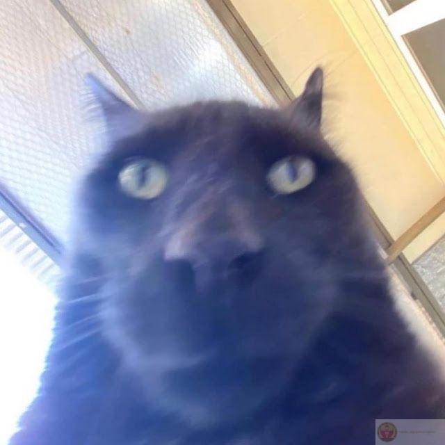 Mỗi ngày là một màn kịch khó đoán