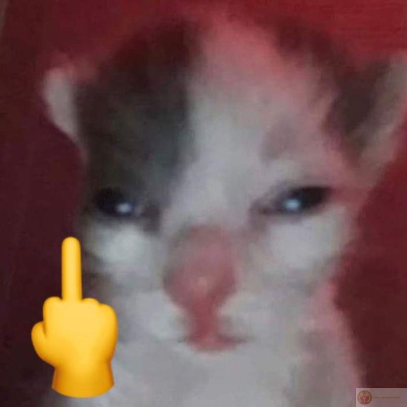 Nằm yên nhưng làm rung hết cả cái giường