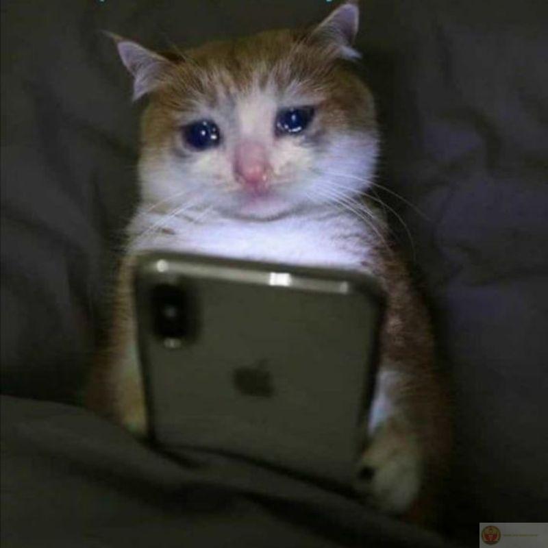 Nằm bất động nhưng trong đầu tính đủ trò