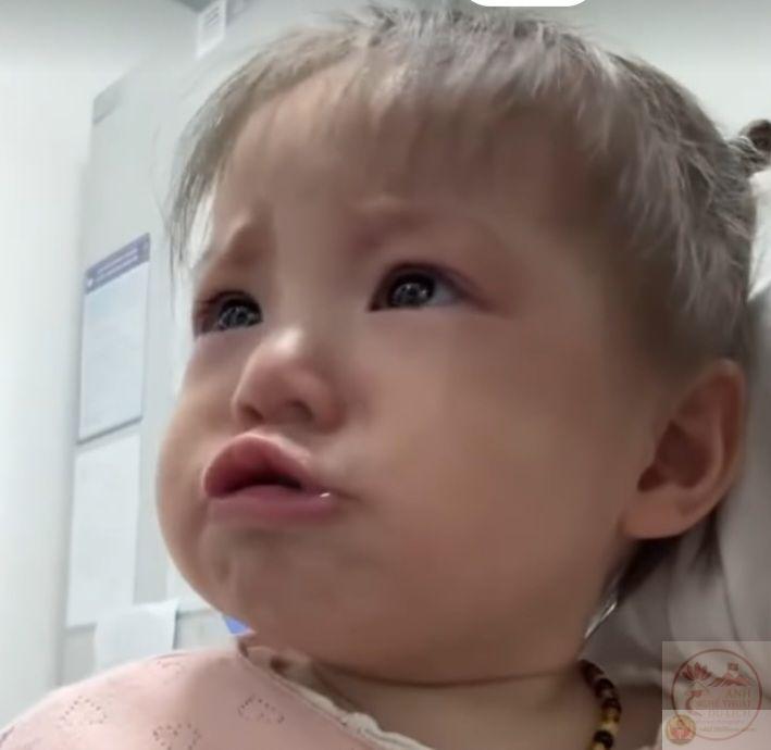 Mỗi phiên bản chu mỏ đều mang lại một sắc thái hài hước khác biệt