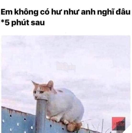 Em không có hư như anh nghĩ đâu, mèo ngậm cọc sắt