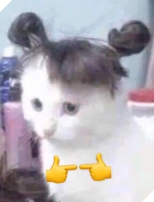 Anh cho em xin lỗi được chưa?