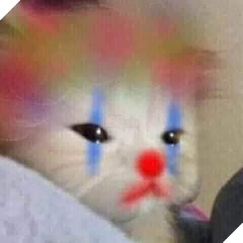 Mèo khóc biến thành chú hề