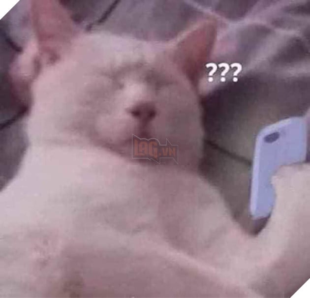 Mèo trắng nhắm tịt mắt cầm điện thoại đầy dấu hỏi