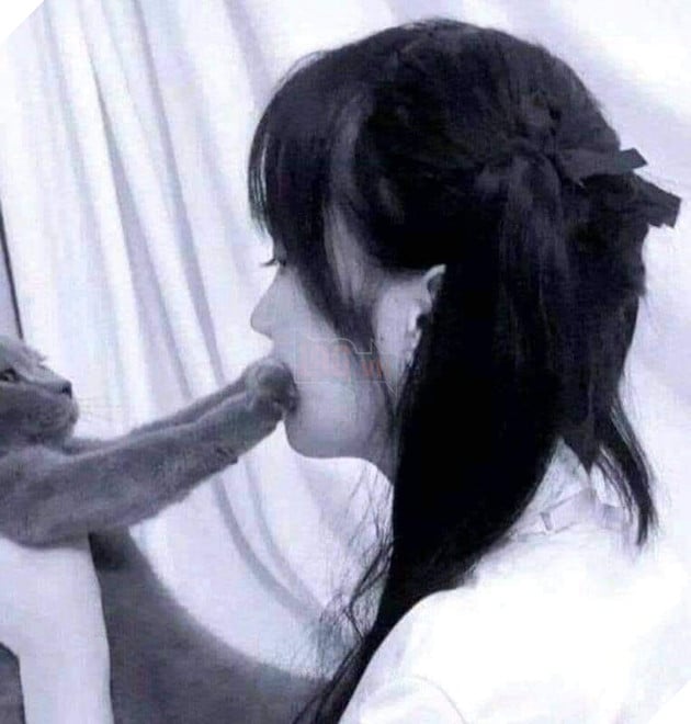 Cô gái chơi với mèo trông như ngậm chân mèo