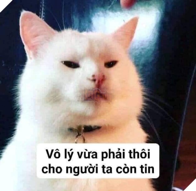 Vô lý vừa phải thôi cho người ta còn tin