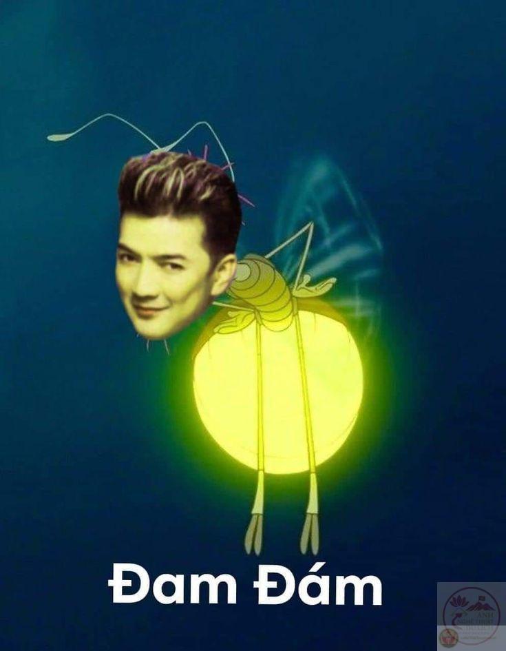 Bộ sưu tập ảnh đàm vĩnh hưng meme hài hước khiến bạn bật cười