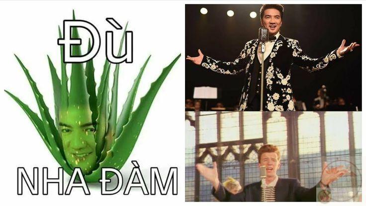 Bộ sưu tập ảnh đàm vĩnh hưng meme hài hước khiến bạn bật cười