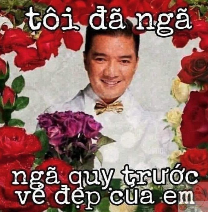 80+ ảnh chế Đàm Vĩnh Hưng Meme hài hước đỉnh cao của Ông Hoàng Nhạc Việt