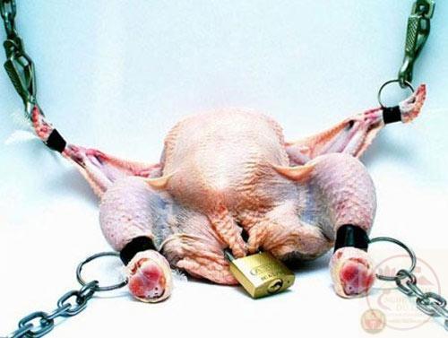 Mad chicken, anthropomorphic, running and screaming, funny, epic, 4K, soft …" — image created in Shedevrum