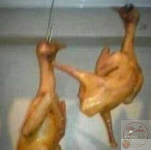 Ảnh Gà Chibi Cute: 58+ Hình Ảnh Gà Anime Dễ Thương