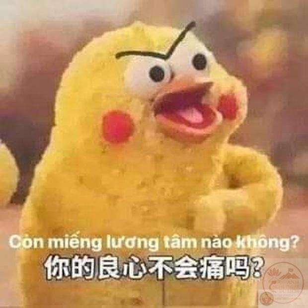 Meme Cười**: Sức Hút Từ Những Hình Ảnh Hài Hước - We Art Studio