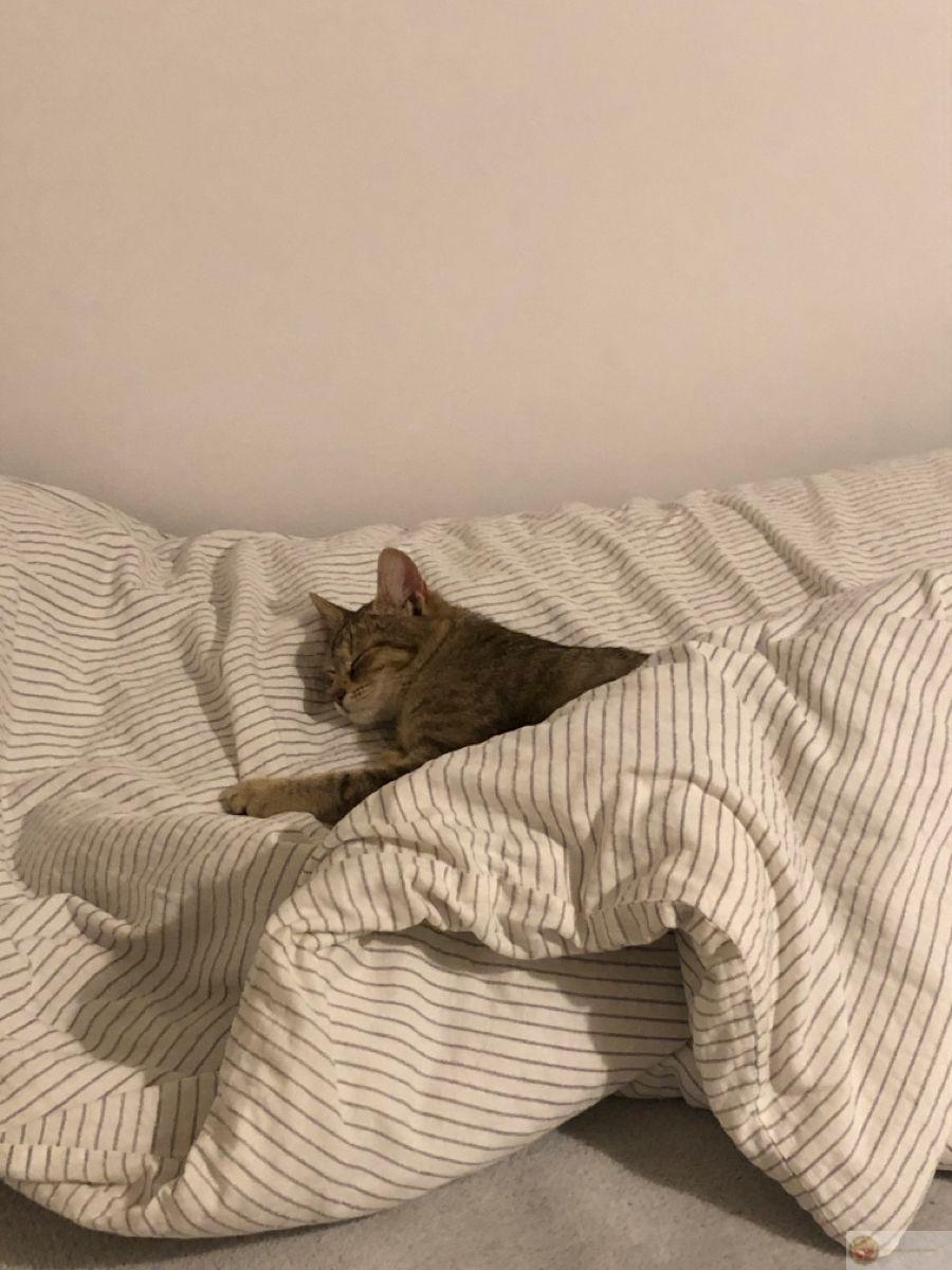 Ngủ xong tỉnh dậy không biết hôm nay là thứ mấy