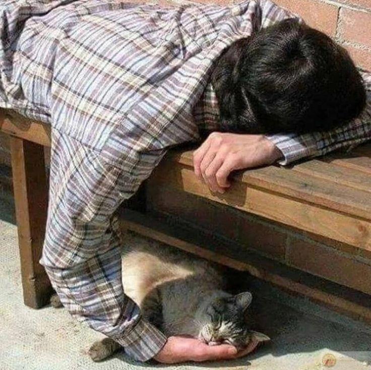 Ngủ là cách tốt nhất để trốn tránh thực tại